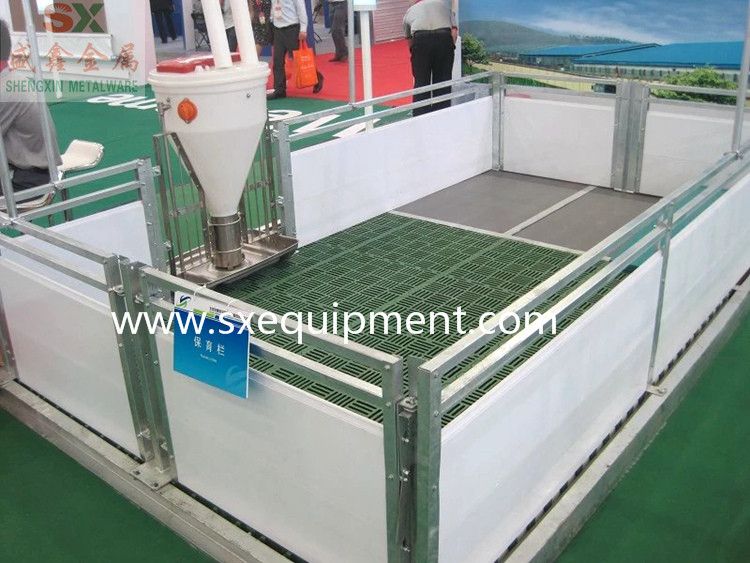 নার্সারি ক্র্যাশ ২0 (001) .jpg