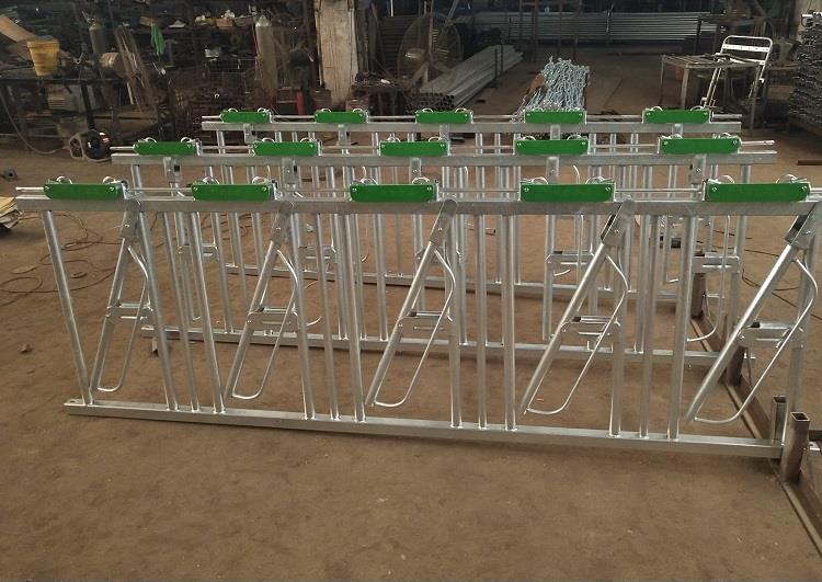 গবাদি পশুর মাথায় 312