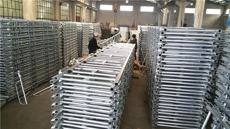 গবাদি পশুর মাথা 06