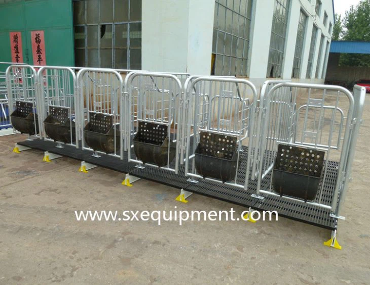 Pig Gestation Crate