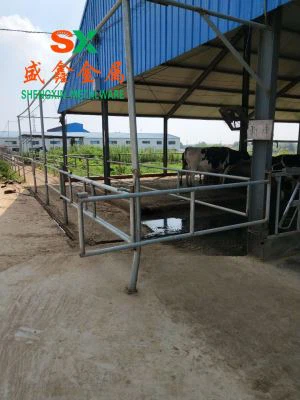 2018 গবাদি পশু ব্যবহার গবাদি পশুর গবাদি হেডলক