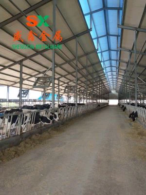 গাভী Cubicles ডবল টাইপ ফ্রি স্টল 2018 জনপ্রিয় কাস্টমাইজড ডিজাইন