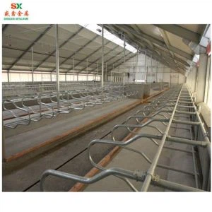 গরু বিনামূল্যে স্টল