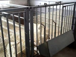 মেষ খামার সরঞ্জাম