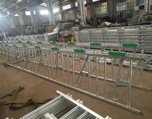 ক্যাটাল হেডলক